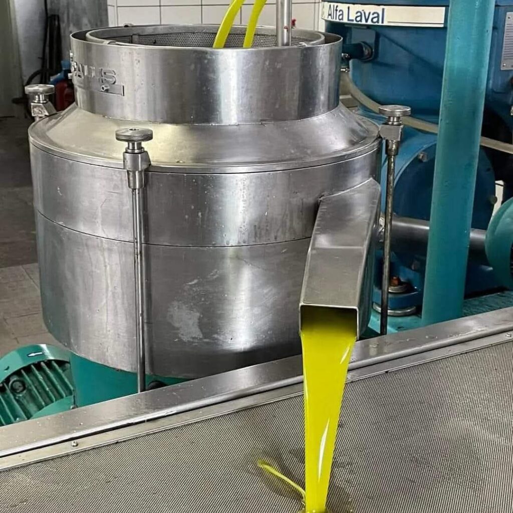 Η Τιμή του Ελαιολάδου στην Ελλάδα (Δεκέμβριος 2025)