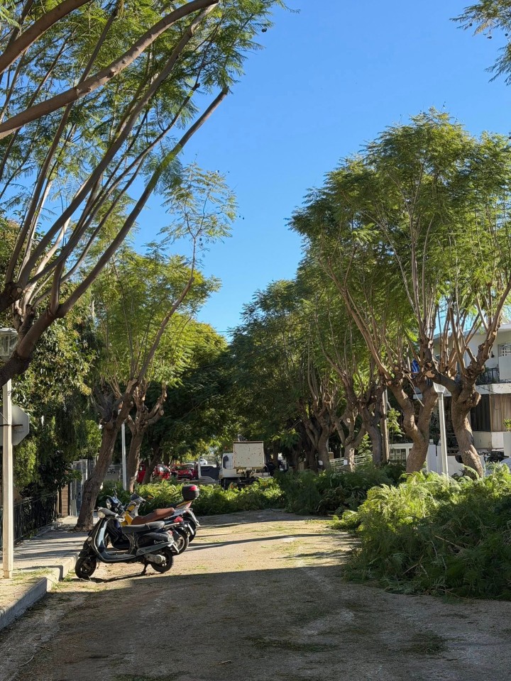 Γιάννης Μητσού: «Συνεχίζουμε με συνέπεια, αγάπη για το περιβάλλον και σεβασμό στη γειτονιά μας»