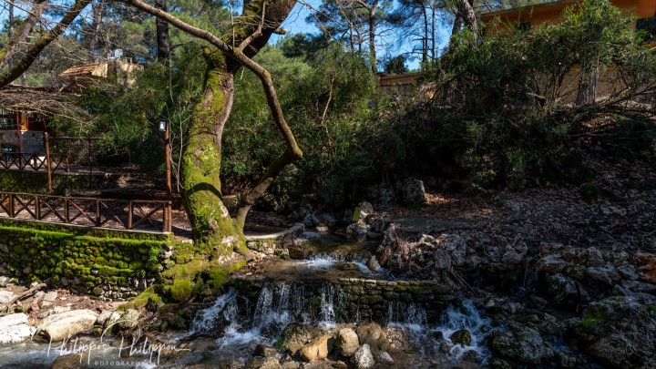 Σοβαρή υποστελέχωση στις Δασικές Υπηρεσίες Αιγαίου