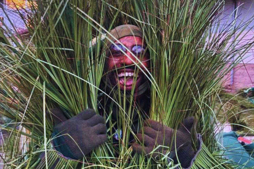 Andrew Athias, πώς έγινες ο άνθρωπος-γρασίδι στο Halftime Show του Bad Bunny;