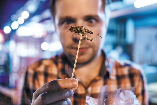 Θα τρώμε έντομα χωρίς να το ξέρουμε; Το σχέδιο, οι φόβοι και η ελληνική πραγματικότητα