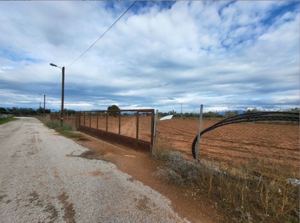Πλειστηριασμοί: Σε νέο σφυρί και με… σκόντο η έκταση 100 στρεμμάτων του «Έλληνα Εσκομπάρ»