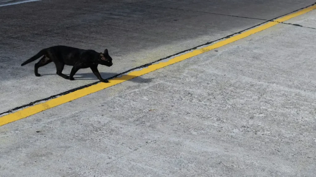 Παρασκευή και 13 σήμερα, γιατί θεωρείται γρουσούζικη ημέρα