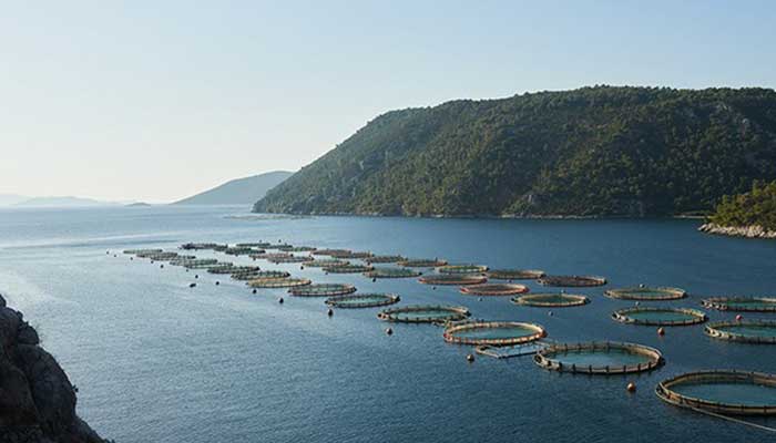 Θαλάσσια υδατοκαλλιέργεια και κλιματική αλλαγή – Τι σημαίνει για τους καταναλωτές