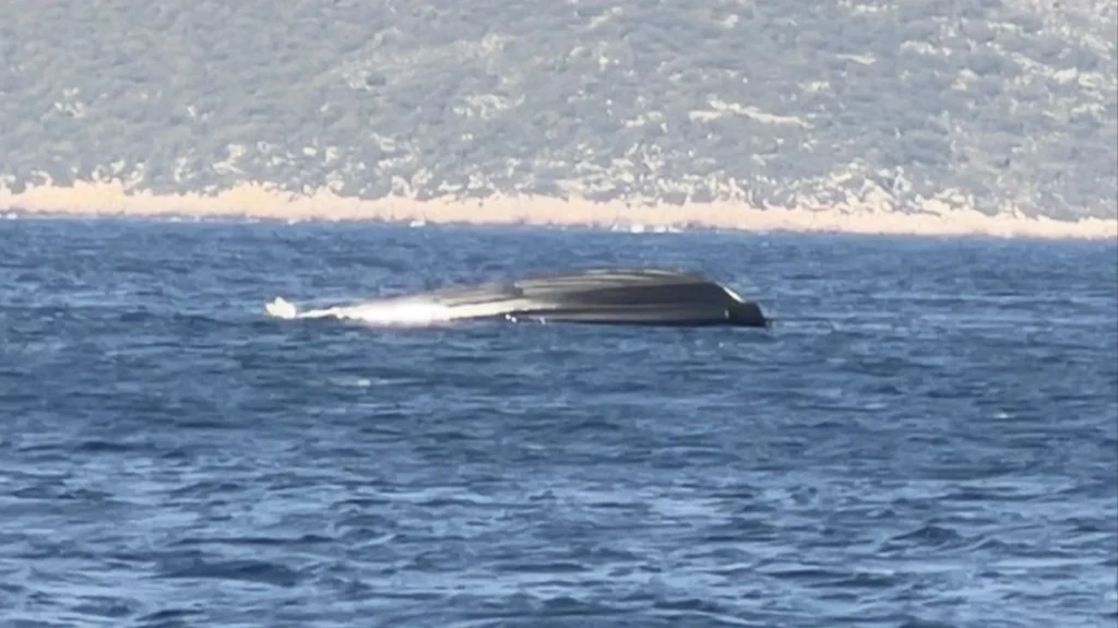 Δείτε βίντεο με το αναποδογυρισμένο σκάφος της Frontex στο Καστελόριζο: Επέβαινε η Εσθονή πρέσβης, τρεις οι τραυματίες Δείτε βίντεο με το αναποδογυρισμένο σκάφος της Frontex στο Καστελόριζο: Επέβαινε η Εσθονή πρέσβης, τρεις οι τραυματίες