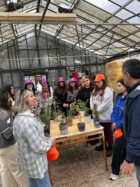 Μιχάλης Λουλούς: Ο άνθρωπος που δίνει «πνοή» στο πράσινο της Περιφέρειας Νοτίου Αιγαίου – Το αστείρευτο έργο του Περιφερειακού Φυτωρίου