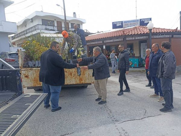 Μιχάλης Λουλούς: Ο άνθρωπος που δίνει «πνοή» στο πράσινο της Περιφέρειας Νοτίου Αιγαίου – Το αστείρευτο έργο του Περιφερειακού Φυτωρίου
