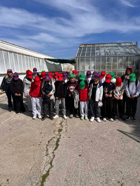 Μιχάλης Λουλούς: Ο άνθρωπος που δίνει «πνοή» στο πράσινο της Περιφέρειας Νοτίου Αιγαίου – Το αστείρευτο έργο του Περιφερειακού Φυτωρίου