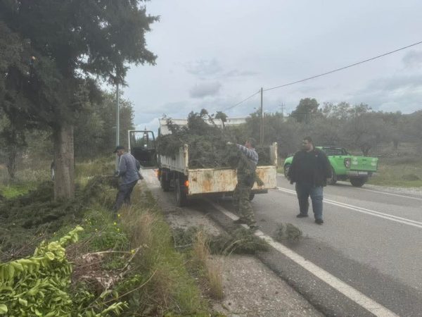 Μιχάλης Λουλούς: Ο άνθρωπος που δίνει «πνοή» στο πράσινο της Περιφέρειας Νοτίου Αιγαίου – Το αστείρευτο έργο του Περιφερειακού Φυτωρίου