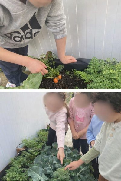 Μιχάλης Λουλούς: Ο άνθρωπος που δίνει «πνοή» στο πράσινο της Περιφέρειας Νοτίου Αιγαίου – Το αστείρευτο έργο του Περιφερειακού Φυτωρίου