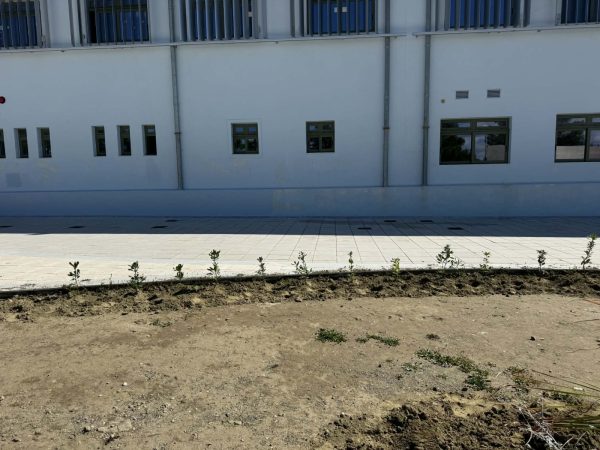 Θερμές Ευχαριστίες του 2ου Δημοτικού Αρχαγγέλου σε Γ. Χατζημάρκο και Μ. Λουλού