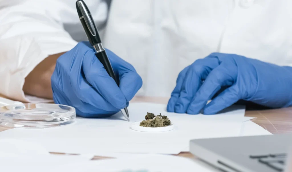 Κάνναβη στην Ελλάδα: Τι φεύγει από το περίπτερο, τι μένει στο φαρμακείο