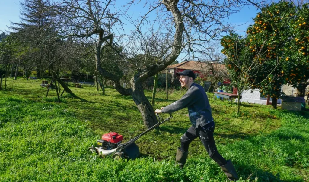 Καθαρισμός οικοπέδων: Υποχρεώσεις ενόψει της αντιπυρικής περιόδου – Τι προβλέπει η νέα ΚΥΑ