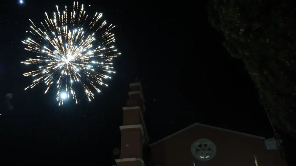 Ζώα και κροτίδες: Πώς μπορεί να ηρεμήσει κάποιος το κατοικίδιό του Ζώα και κροτίδες: Πώς μπορεί να ηρεμήσει κάποιος το κατοικίδιό του