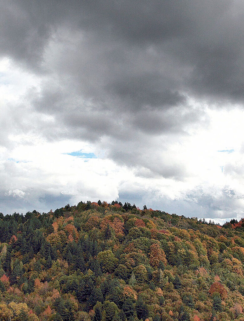ΥΠΕΝ: Δεν κάνει πίσω στην πολεοδόμηση περιοχών Natura
