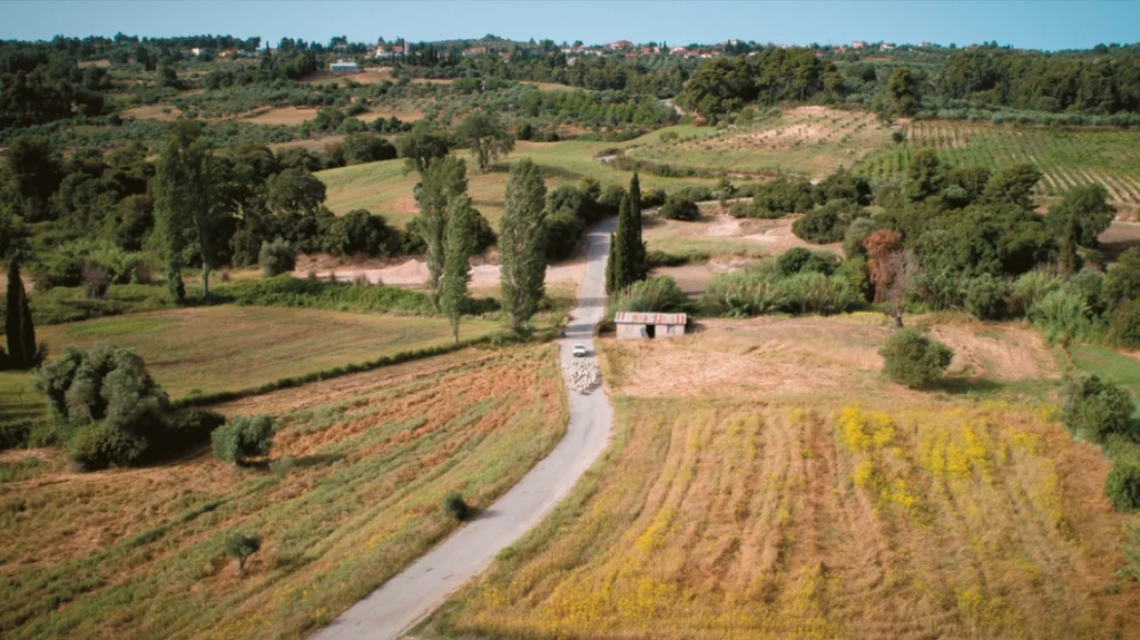 Καθαρισμός οικοπέδων 2026: Μέχρι πότε η προθεσμία για δηλώσεις και εργασίες, τι αλλάζει φέτος – Χρήσιμος οδηγός