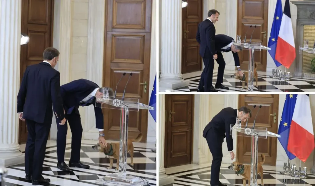 Κυριάκος Μητσοτάκης και Εμανουέλ Μακρόν συναντήθηκαν στο Μέγαρο Μαξίμου, αλλά ο Πίνατ… μαγνήτισε τα βλέμματα (Εικόνες)