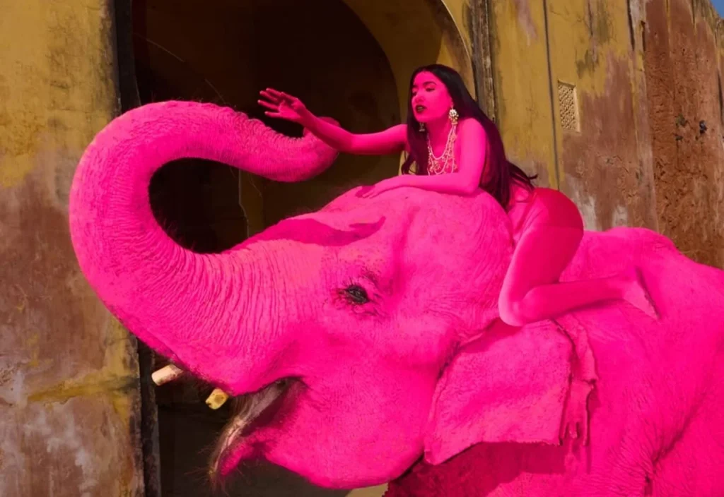 «Δεν φταίω»: Αντιδράσεις για Ρωσίδα φωτογράφο που έβαψε ροζ έναν ελέφαντα και πέθανε μήνες μετά