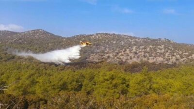 Καθορίστηκε η αποζημίωση για τις αγροτικές εκμεταλλεύσεις της Ρόδου που καταστράφηκαν από τη φωτιά τον Ιούλιο του 2023