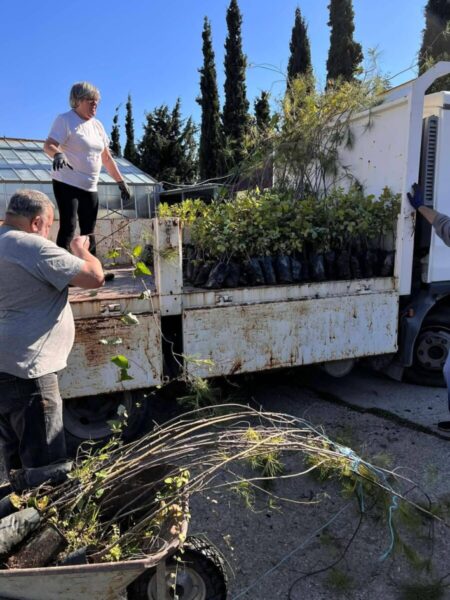 Μιχάλης Λουλούς στον RV: «Η Περιφέρεια Νοτίου Αιγαίου επενδύει έμπρακτα στην περιβαλλοντική παιδεία των μαθητών»