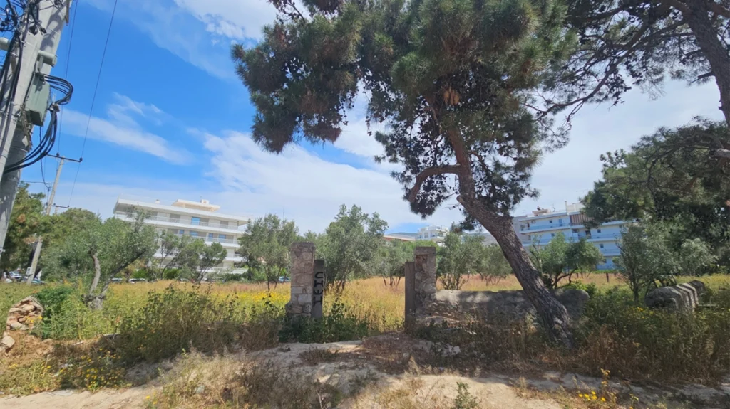 Τουρνάς: Να περιορίσουμε τις ενάρξεις πυρκαγιών και να μειώσουμε την καύσιμη ύλη – Από την Τρίτη ξεκινούν έλεγχοι για τα ακαθάριστα οικόπεδα