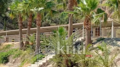 Θρίλερ στο σκοπευτήριο Μαλεβιζίου: Γυναίκα έστρεψε το όπλο πάνω της και αυτοπυροβολήθηκε – Νοσηλεύεται διασωληνωμένη