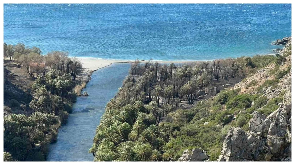 Περιορισμένες οι ζημιές στο Φοινικόδασος του Πρέβελη, σύμφωνα με την Περιφέρια Ρεθύμνου, δείτε βίντεο και φωτογραφίες Περιορισμένες οι ζημιές στο Φοινικόδασος του Πρέβελη, σύμφωνα με την Περιφέρια Ρεθύμνου, δείτε βίντεο και φωτογραφίες