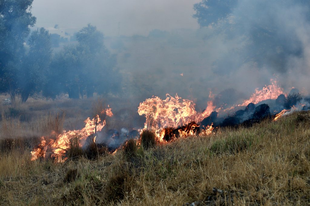 Φωτιά στην Κάλυμνο: Σε πλήρη κινητοποίηση η Πυροσβεστική – Ενισχύονται οι δυνάμεις με πυροσβέστες και οχήματα από την Κω Φωτιά στην Κάλυμνο: Σε πλήρη κινητοποίηση η Πυροσβεστική – Ενισχύονται οι δυνάμεις με πυροσβέστες και οχήματα από την Κω