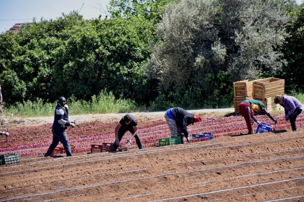 Ξένοι εργάτες: Κριτήρια και προϋποθέσεις μετάκλησης από τις Εταιρείες Προσωρινής Απασχόλησης Ξένοι εργάτες: Κριτήρια και προϋποθέσεις μετάκλησης από τις Εταιρείες Προσωρινής Απασχόλησης