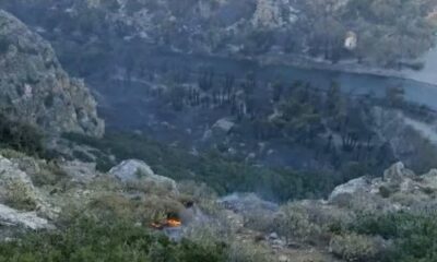 Φωτιά στο Ρέθυμνο: Πληροφορίες ότι κάηκε πάνω από το 80% του φοινικόδασους στην Πρέβελη