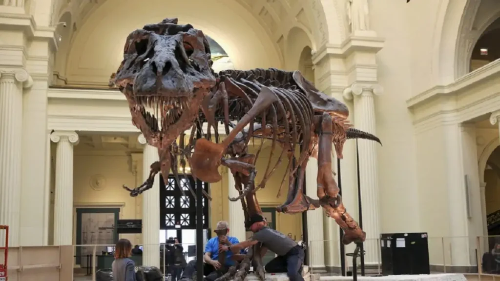 Στο «σφυρί» ο «Γκας»: Σκελετός T-Rex μπορεί να πωληθεί έως και 30 εκατ. δολάρια Στο «σφυρί» ο «Γκας»: Σκελετός T-Rex μπορεί να πωληθεί έως και 30 εκατ. δολάρια