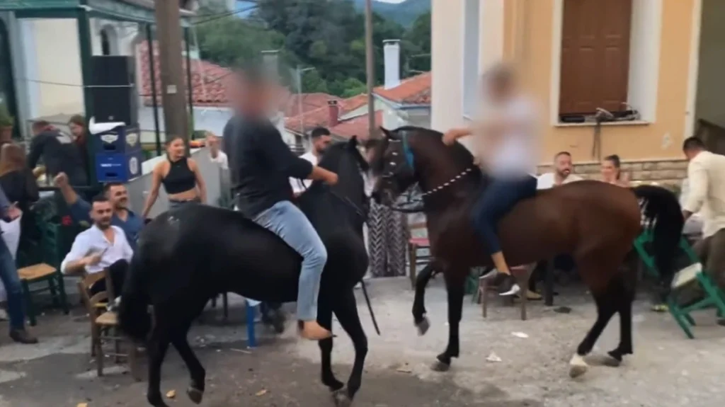 Άλογα χορεύουν πάνω σε σπασμένα μπουκάλια στη Λέσβο – A Promise to Animals: «Όταν η κριτική σε ένα έθιμο θεωρείται επίθεση σε έναν τόπο»