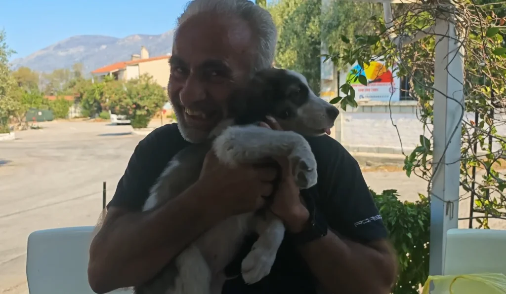 Πυρκαγιά στο Πόρτο Γερμανό: Η συγκινητική ιστορία του Μπρούνο – Το κουτάβι που σώθηκε από τον Μάρκο [βίντεο]