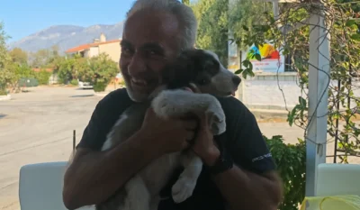 Πυρκαγιά στο Πόρτο Γερμανό: Η συγκινητική ιστορία του Μπρούνο – Το κουτάβι που σώθηκε από τον Μάρκο [βίντεο]