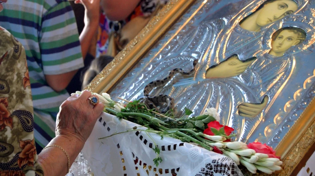 Βγήκαν τα «Φιδάκια της Παναγίας» και φέτος στην Κεφαλονιά, το σπάνιο φαινόμενο που συμβαίνει κάθε Δεκαπενταύγουστο Βγήκαν τα «Φιδάκια της Παναγίας» και φέτος στην Κεφαλονιά, το σπάνιο φαινόμενο που συμβαίνει κάθε Δεκαπενταύγουστο