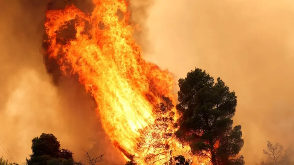 Καιρός «hot – dry – windy» τις επόμενες 48 ώρες: Αυξημένος ο κίνδυνος φωτιάς, συναγερμός σε 6 περιφέρειες