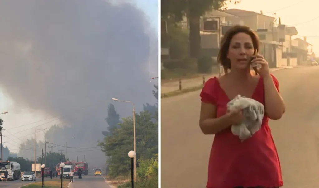 Φωτιά στη Χαλκιδική: Δημοσιογράφος καταγγέλλει επίθεση από αγνώστους – “Μου έσπασαν το μικρόφωνο – Μας έδιωξαν από την περιοχή κλοτσηδόν” (Βίντεο) Φωτιά στη Χαλκιδική: Δημοσιογράφος καταγγέλλει επίθεση από αγνώστους – “Μου έσπασαν το μικρόφωνο – Μας έδιωξαν από την περιοχή κλοτσηδόν” (Βίντεο)