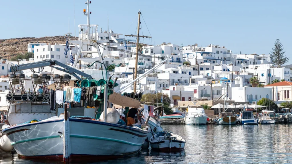 Αλιείς εν πλω: Σειρά ντοκιμαντέρ για τους ψαράδες της Πάρου – Τα δίχτυα, ο λαγοκέφαλος και ένα νέο πρόβλημα Αλιείς εν πλω: Σειρά ντοκιμαντέρ για τους ψαράδες της Πάρου – Τα δίχτυα, ο λαγοκέφαλος και ένα νέο πρόβλημα