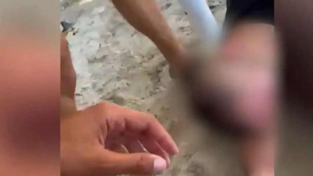 Φωτιά στην Χαλκιδική: Η στιγμή που ναυγοσώστης σώζει πυροσβέστη που έχασε τις αισθήσεις του στην παραλία Φωτιά στην Χαλκιδική: Η στιγμή που ναυγοσώστης σώζει πυροσβέστη που έχασε τις αισθήσεις του στην παραλία